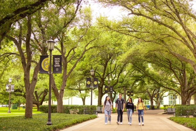 Students walk under a canopy of trees along a brick pathway on a campus